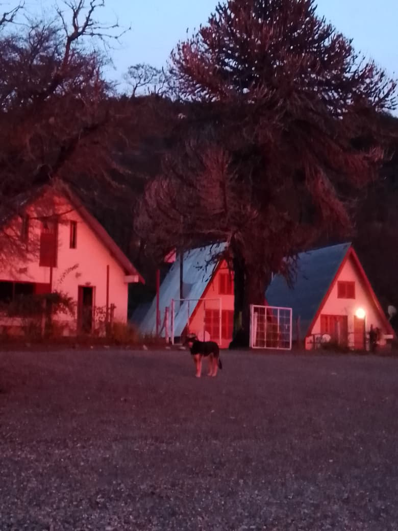 Las cabañas al atardecer