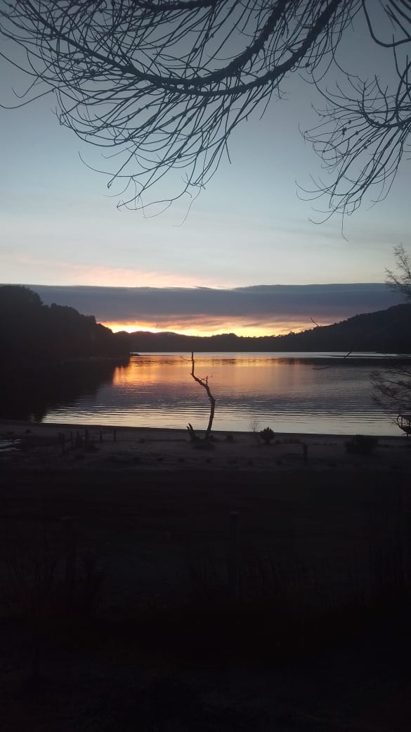 Atardecer entre los árboles