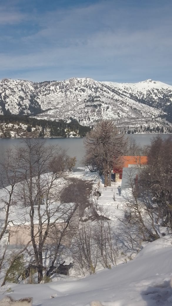 Vista nevada al lago