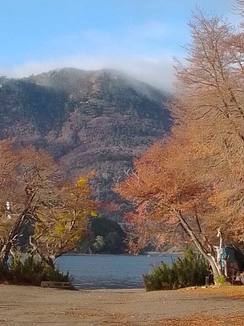 Otoño frente al lago