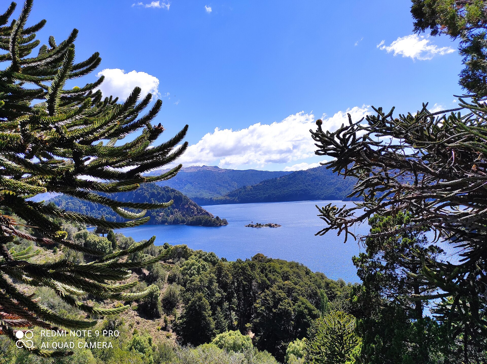 El lago Moquehue entre araucarias